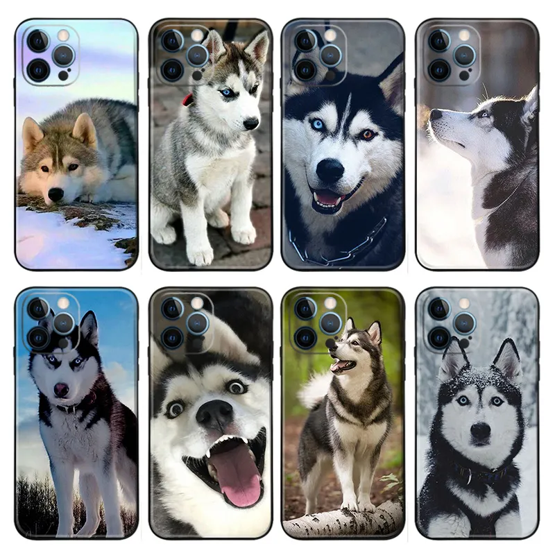 Siberian Husky — Photographic Collection TPU Phone Case
