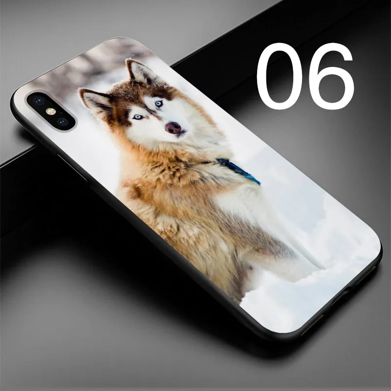 06