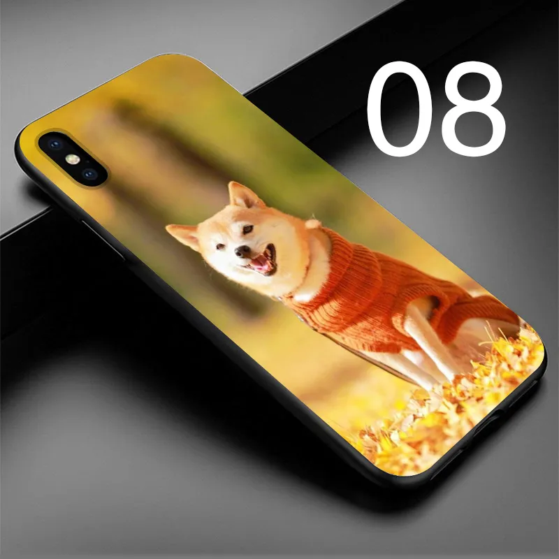 08