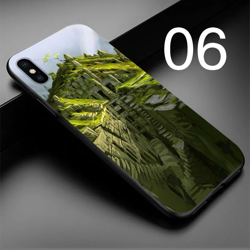 06